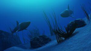 כרישים שוחים במנהרת האוקיינוס של Sea Life פורטו
