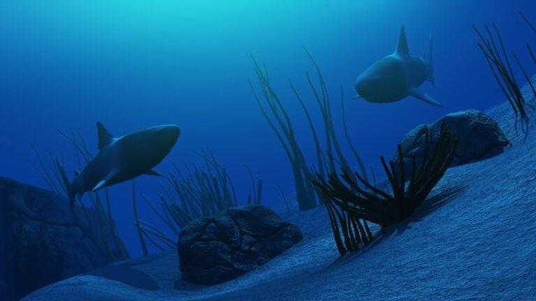 כרישים שוחים במנהרת האוקיינוס של Sea Life פורטו